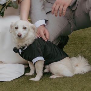 Dog Wedding Tuxedo